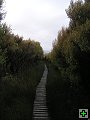 thn_steward island 007.jpg